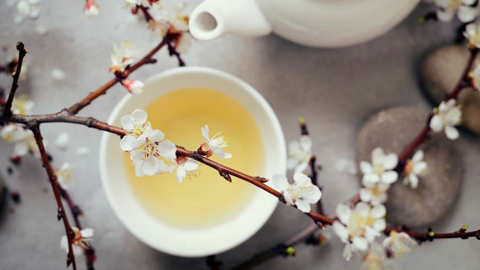 White Tea - A Healthier Take On Hot Beverages 